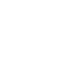 Recuperación orientada al bienestar